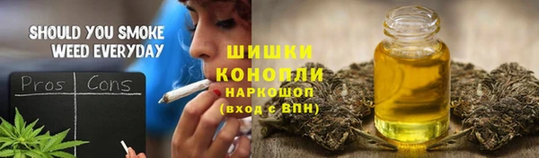 прущий лед Краснослободск