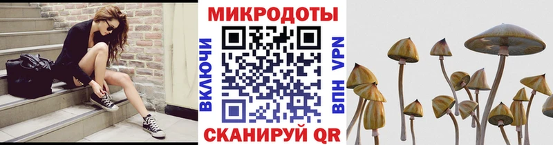 OMG сайт Мглин Псилоцибиновые грибы ЛСД где найти наркотики