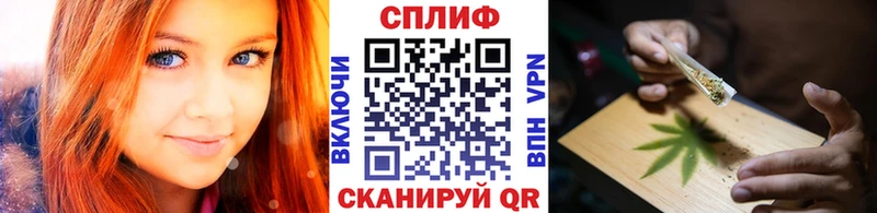 дарк нет Telegram  Мглин  Бошки марихуана Bruce Banner 